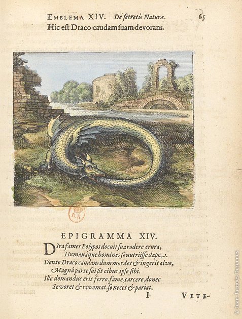 L'Ouroboros, Atalanta fugiens