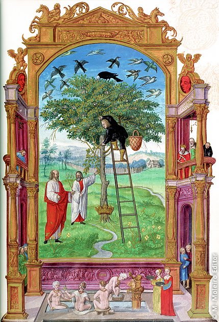 L'Arbre philosophique, Splendor Solis