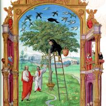 L'Arbre philosophique, Splendor Solis