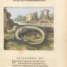 L'Ouroboros, Atalanta fugiens