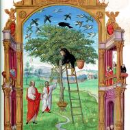 L'Arbre philosophique, Splendor Solis