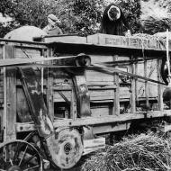 1950 - Batteuse à grain