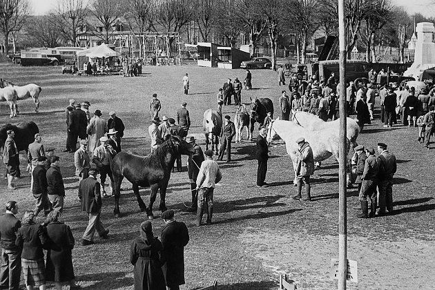1952 - Foire aux chevaux sur le Champ de foire
