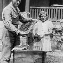 1943 - L'apiculteur