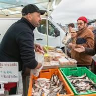 13 à la douzaine ?