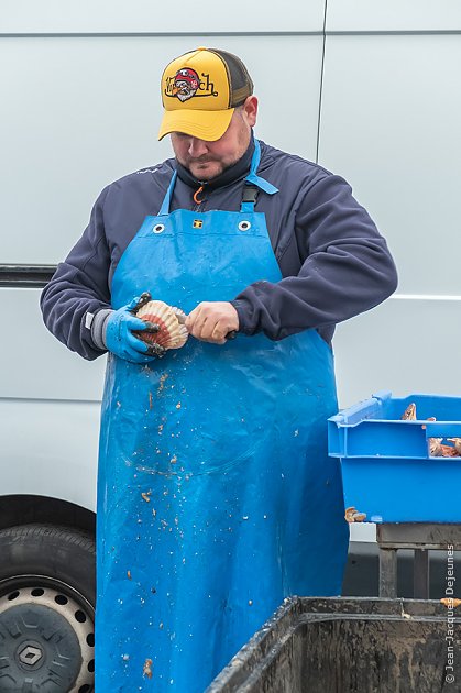 Dénucléage d'une coquille