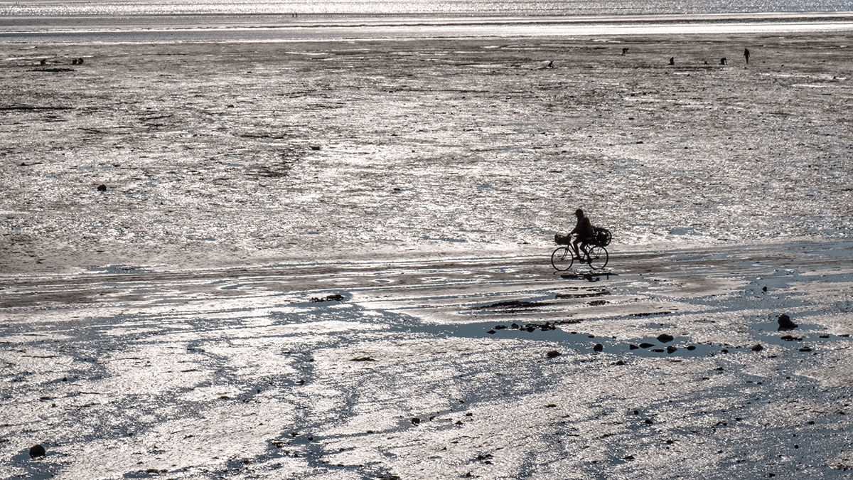 Saint-Jacut-de-la-Mer - Retour de pêche