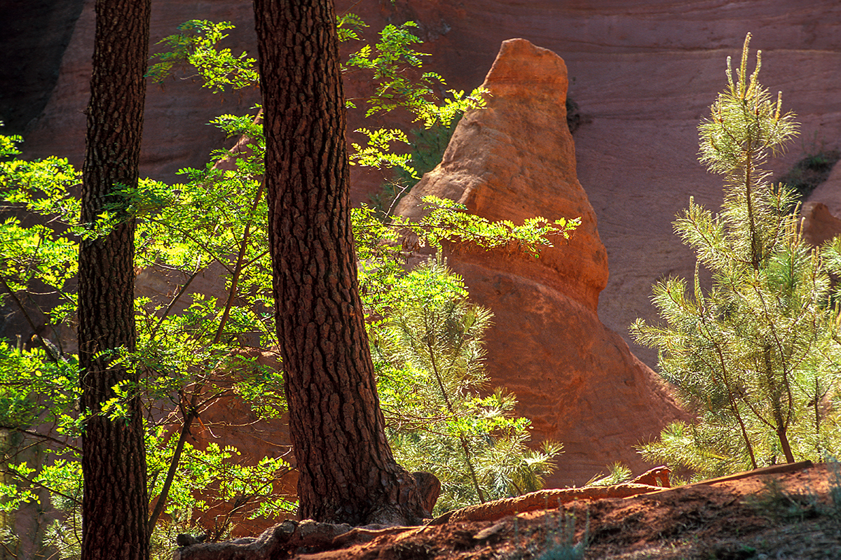 Roussillon