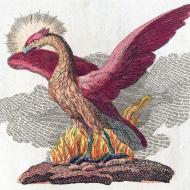 Le Phénix, Friedrich Justin Bertuch, 1790-1830