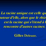 La racine et le rhizome
