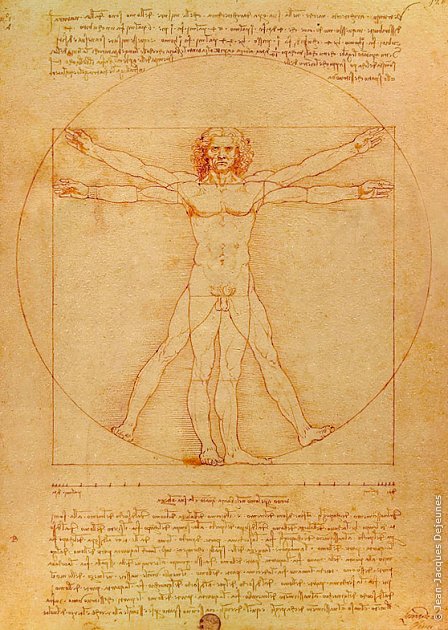 L'homme de Vitruve selon Léonard de Vinci, vers 1492