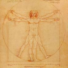 L'homme de Vitruve selon Léonard de Vinci, vers 1492