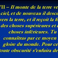 Septième précepte