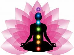 Les sept chakras dans le corps humain