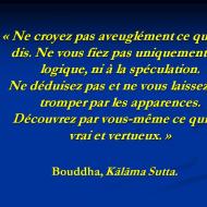 Ne croyez pas aveuglément ce que je dis...