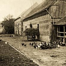 1930 - La ferme Dupuis