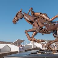 Joueur de polo