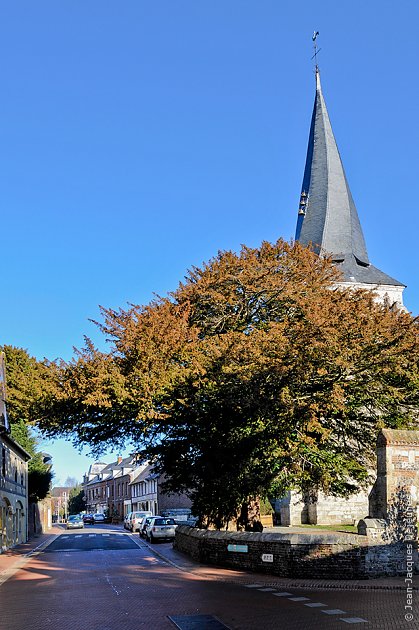 L'if et l'église Saint-Ouen