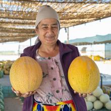 Vendeuse de melons