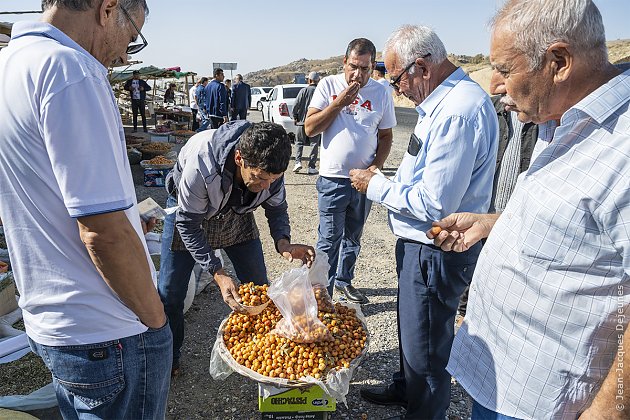 Autour d'un vendeur de kakis